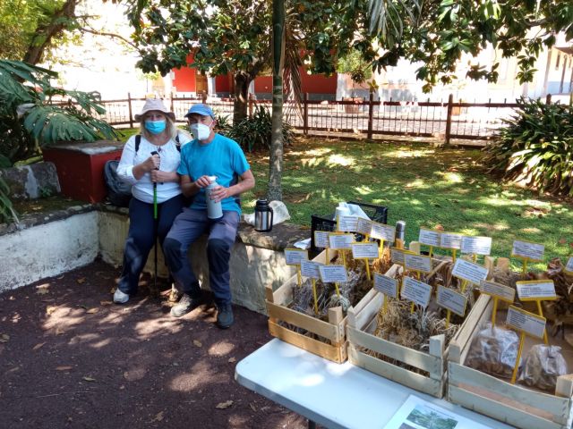 USO DE LAS PLANTAS MEDICINALES EN CANARIAS, foto 1