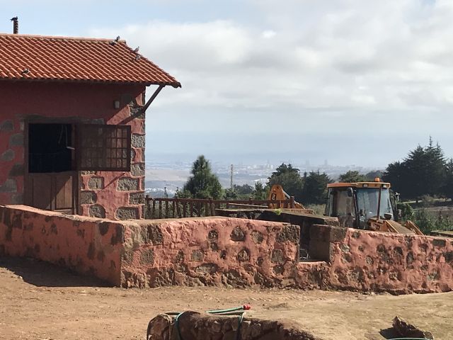USO DE LAS PLANTAS MEDICINALES EN CANARIAS, foto 4