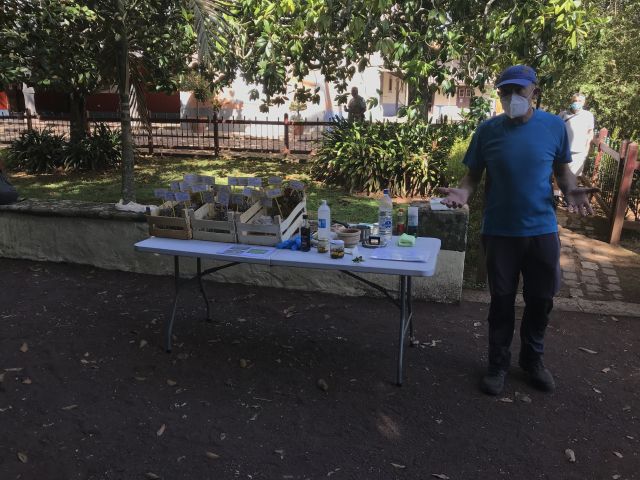 USO DE LAS PLANTAS MEDICINALES EN CANARIAS, foto 10