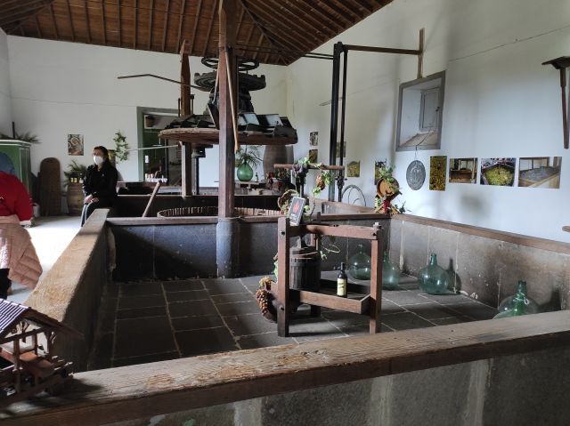 TERCER GRUPO EN VISITAR LA FINCA MOCANAL Y BODEGA SAN JUAN., foto 2