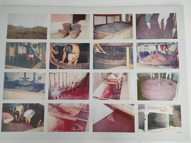 TERCER GRUPO EN VISITAR LA FINCA MOCANAL Y BODEGA SAN JUAN., foto 3