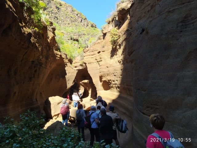EXCURSIÓN AL BARRANCO LAS VACAS. FINCA LOS BARROS Y ALMAZARA., foto 5