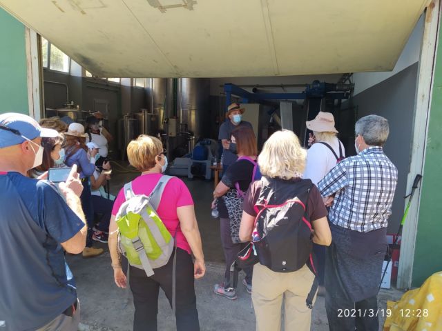 EXCURSIÓN AL BARRANCO LAS VACAS. FINCA LOS BARROS Y ALMAZARA., foto 17
