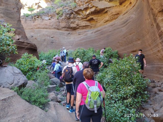 EXCURSIÓN AL BARRANCO LAS VACAS. FINCA LOS BARROS Y ALMAZARA., foto 3
