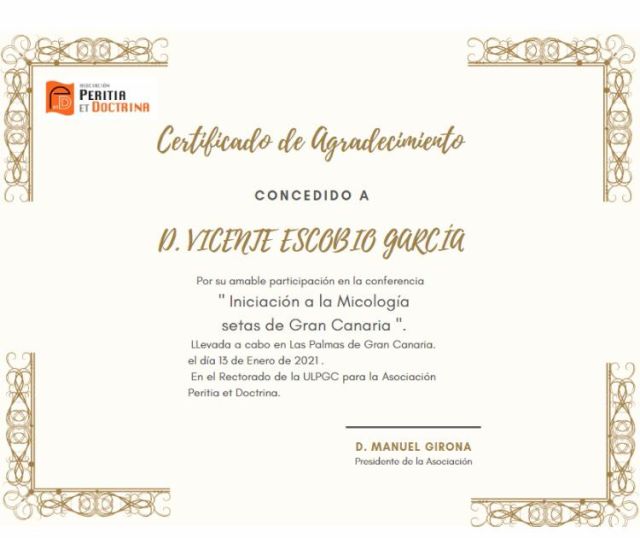CONFERENCIAS . NAVIDAD CON ABRAZOS, foto 392
