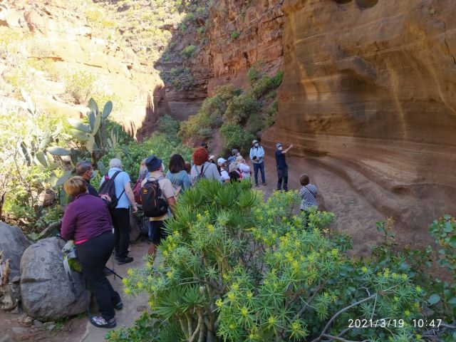 EXCURSIÓN AL BARRANCO LAS VACAS. FINCA LOS BARROS Y ALMAZARA., foto 4