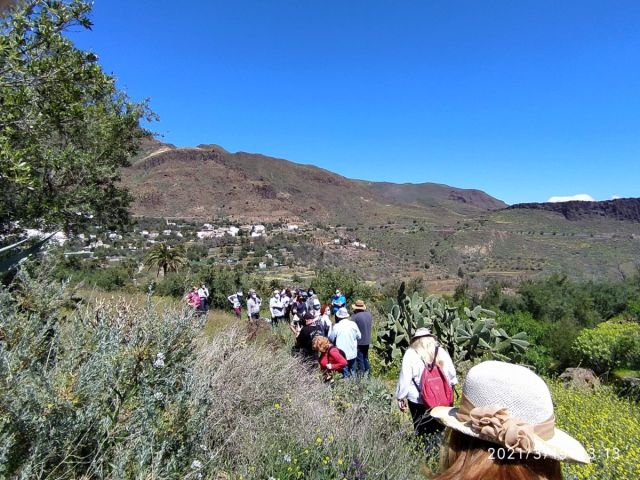 EXCURSIÓN AL BARRANCO LAS VACAS. FINCA LOS BARROS Y ALMAZARA., foto 20