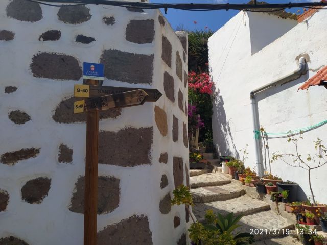 EXCURSIÓN AL BARRANCO LAS VACAS. FINCA LOS BARROS Y ALMAZARA., foto 24