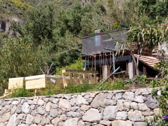 EXCURSIÓN AL BARRANCO LAS VACAS. FINCA LOS BARROS Y ALMAZARA., foto 15