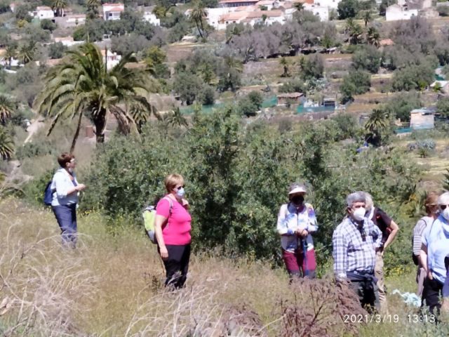 EXCURSIÓN AL BARRANCO LAS VACAS. FINCA LOS BARROS Y ALMAZARA., foto 21