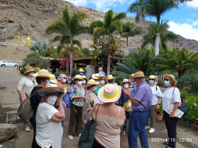 EXCURSIÓN A MOGÁN., foto 5
