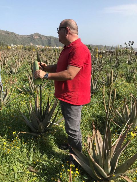 VISITA A VALSEQUILLO Y FINCA GRAN ALOE, foto 2