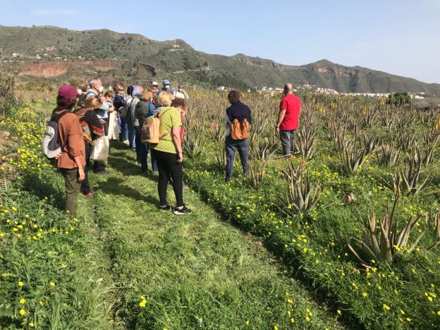 VISITA A VALSEQUILLO Y FINCA GRAN ALOE, foto 1