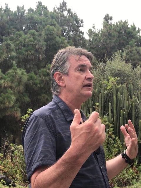 VISITA AL JARDÍN CANARIO, foto 2