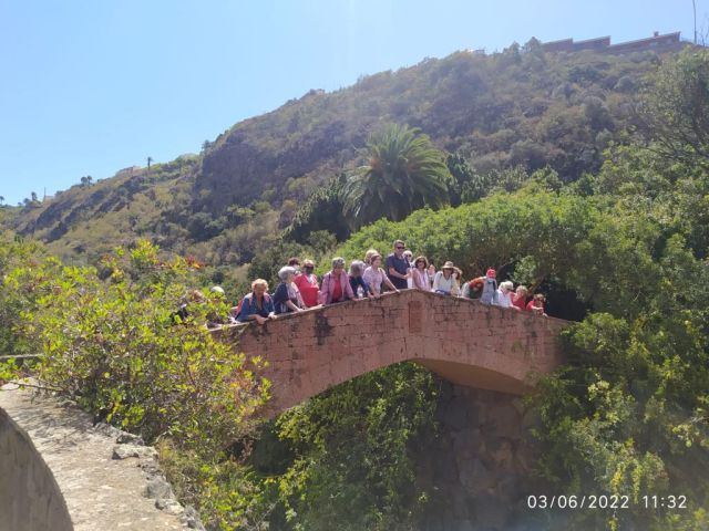 VISITA AL JARDÍN CANARIO, foto 5