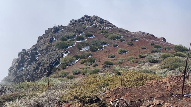 PERITIA ET DOCTRINA VIAJA A LA PALMA., foto 9