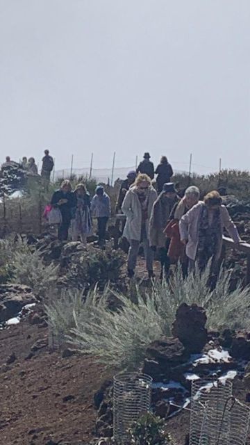 PERITIA ET DOCTRINA VIAJA A LA PALMA., foto 11