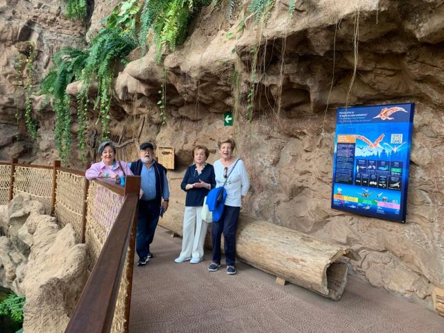 VISITA AL ACUARIO: POEMA DEL MAR., foto 2