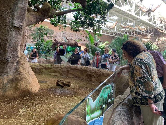 VISITA AL ACUARIO: POEMA DEL MAR., foto 3