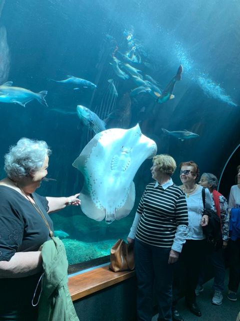 VISITA AL ACUARIO: POEMA DEL MAR., foto 11