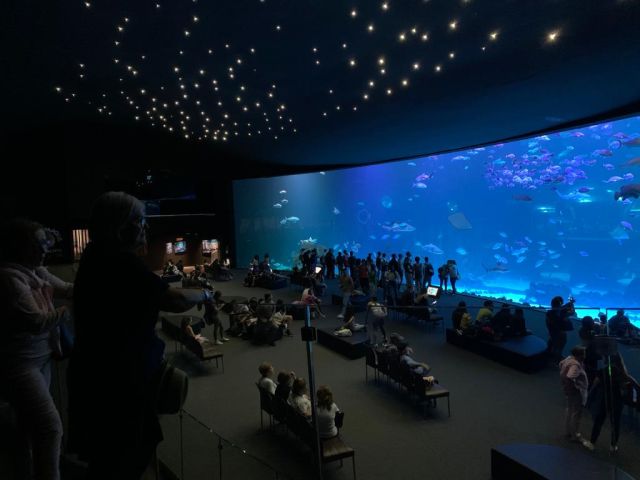 VISITA AL ACUARIO: POEMA DEL MAR., foto 8