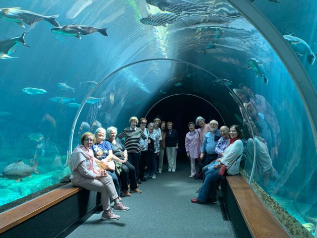 VISITA AL ACUARIO: POEMA DEL MAR., foto 10