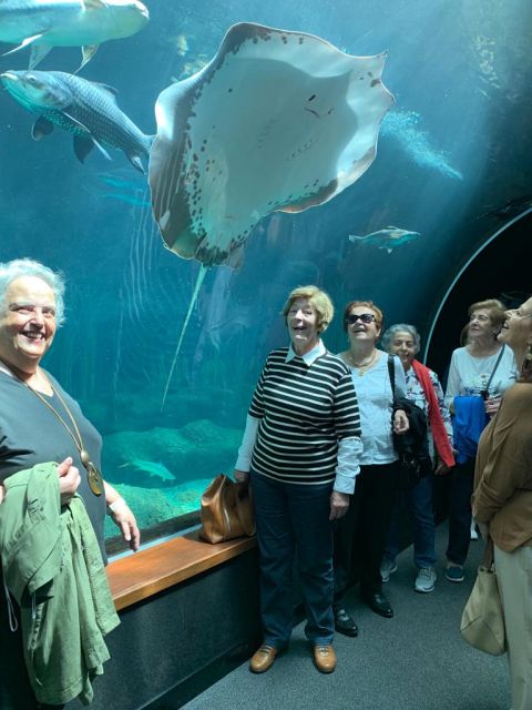 VISITA AL ACUARIO: POEMA DEL MAR., foto 12