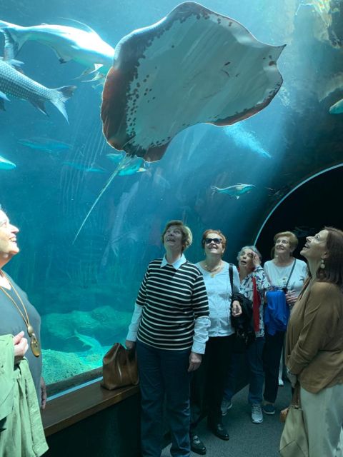 VISITA AL ACUARIO: POEMA DEL MAR., foto 13
