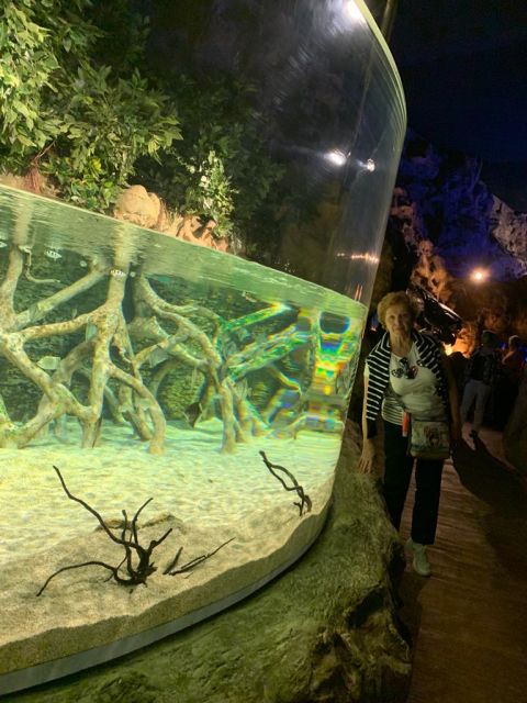 VISITA AL ACUARIO: POEMA DEL MAR., foto 7