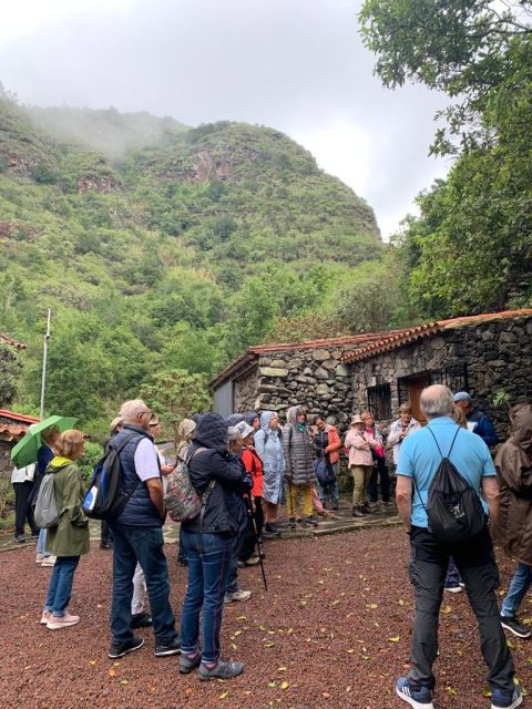CAMINATA POR LOS TILOS DE MOYA Y VISITA GUIADA AL MUSEO TOMÁS MORALES., foto 1