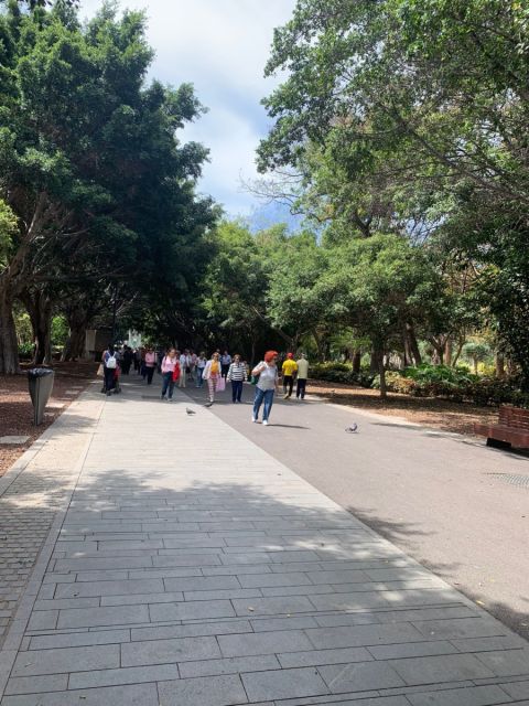 SALIDA FORMATIVA-CULTURAL., foto 28